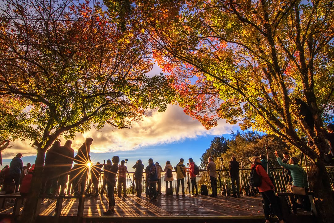 阿里山天氣篇山編常被詢問到的問題之一山編一定會問：「你要去到哪裡呢？」如果是阿里山國家森林遊樂區，會冷喔！查氣象署的天氣記得要查「...