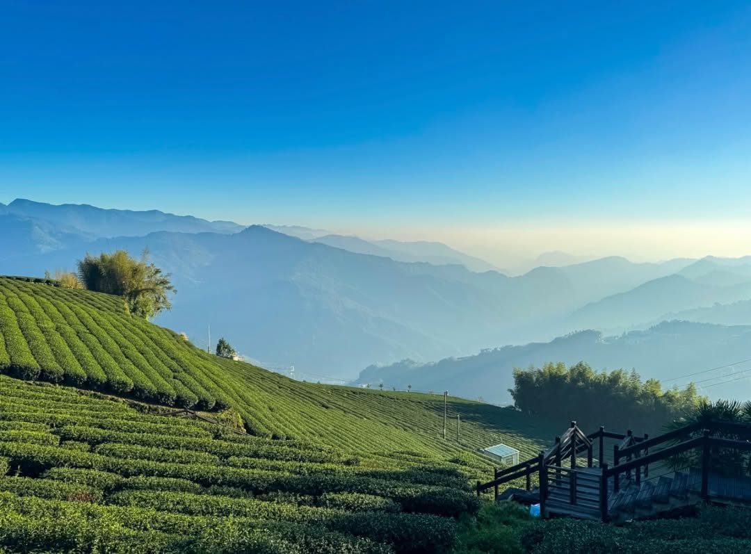 霞之道當薄霧輕輕籠罩群山茶園，彷彿披上了一層柔軟的白紗～最迷人的瞬間，是陽光穿透雲霧，交織出深淺不一的細膩層次讓呼吸跟著光影一起慢...