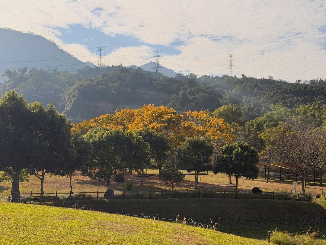 早安！換上新色彩的牛埔仔愛情大草原踩著天然落葉地毯的清脆聲彷彿喚醒大地冬日裡溫暖的太陽曬起來好舒服～～☺️用雙眼很美，但拍起來要左...
