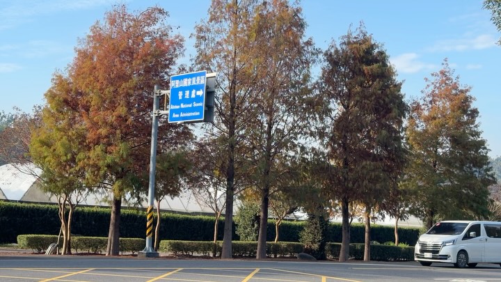 「慢一點，才能看見細節。」 跟大家分享山編的小發現  #阿里山公路 原本只是尋常的上班路， 卻被這片溫暖的色彩， 驚艷了視角忍不住...