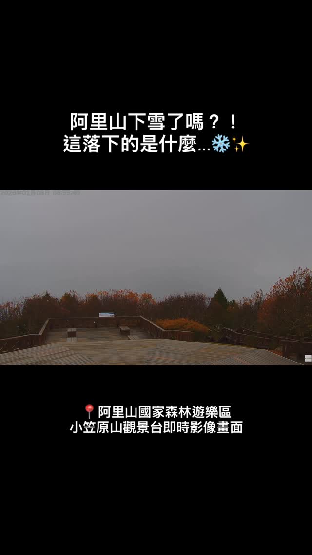 阿里山下雪了嗎？！這落下的是什麼...❄️不敢相信自己的眼睛快幫小編看看即時影像裡的這幕— —眼力好的山粉們，快在留言區告訴我你的...