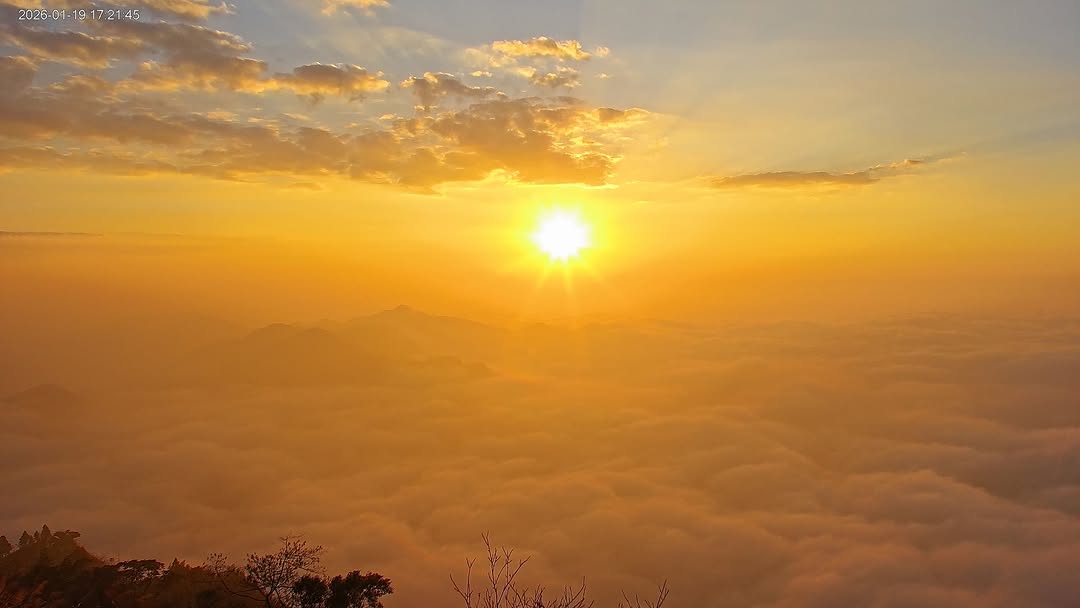 昨天的金黃雲海昨天的天氣怎麼會出現雲海～～～( 山編覺得意外獲得美景 )#日落雲海 #阿里山 #雲海 #阿里山櫻花季 #sunse...