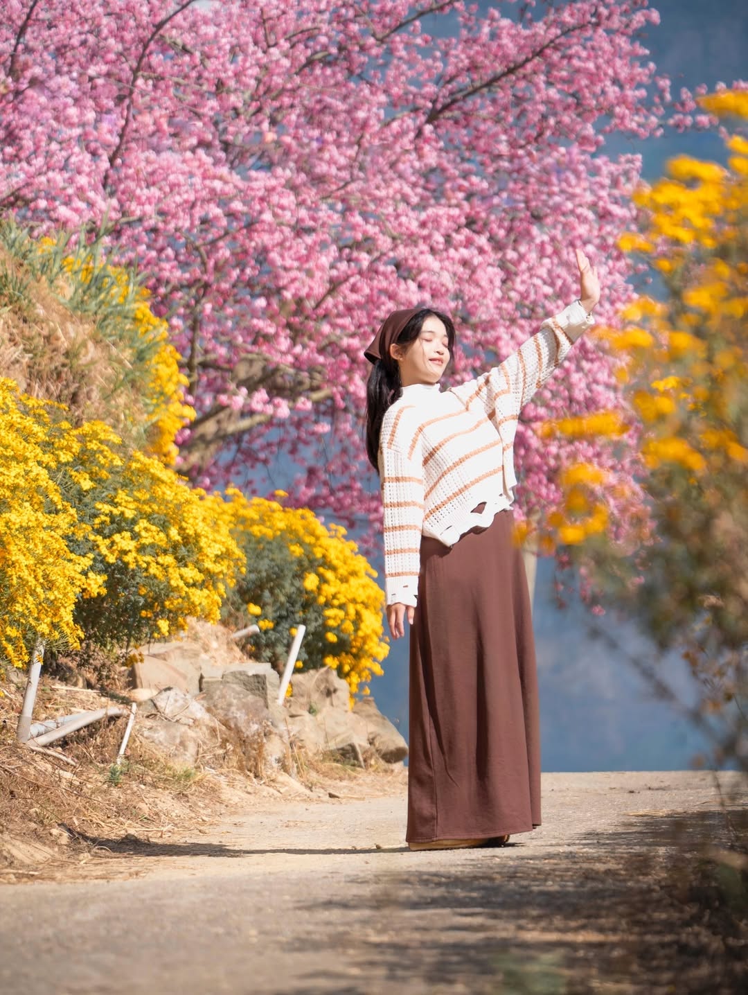 把握時間欣賞粉嫩的阿里山～今年的太和櫻王、櫻后、櫻貴妃超美～～～threads滑過去滿滿的讚嘆！三棵櫻花滿開時間有一點點錯開前兩者...