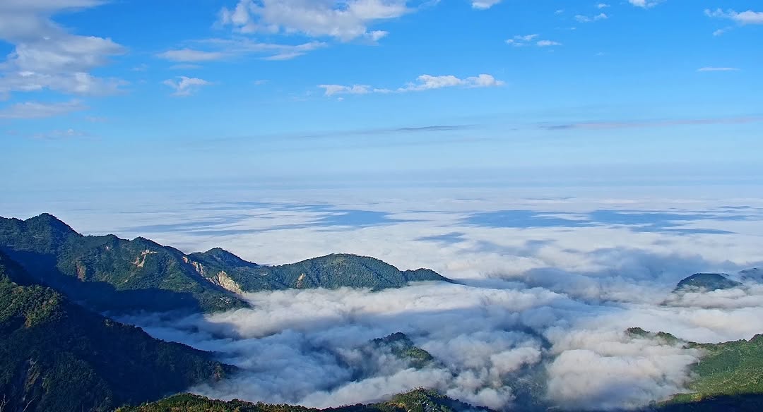 ✦每日例行公事✦巡視即時影像咦？一點開就是滿滿的雲海～☁️☁️這麼幸福嗎～一早看到心情真好！同場加映隔壁棚的隙頂日出美景再加１️⛰...