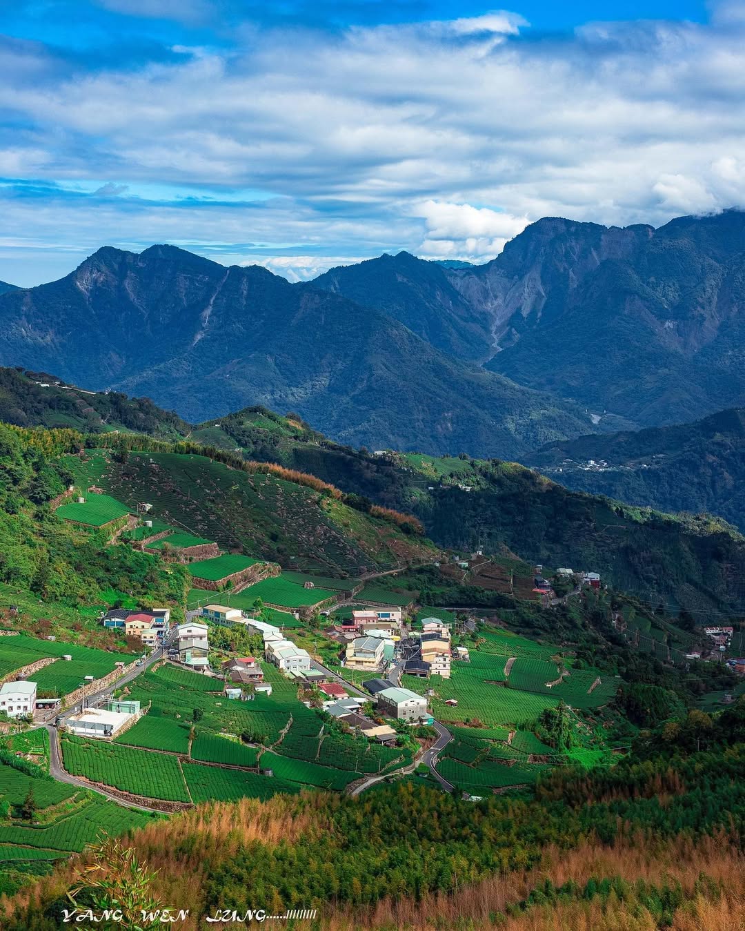 除了太和樟樹湖的粉紅風暴，你還可以看看——太和的綠，是另一種層次⛰️目光很難不被這片順著山坡起伏的茶毯吸引視線隨著茶園向遠方延伸，...