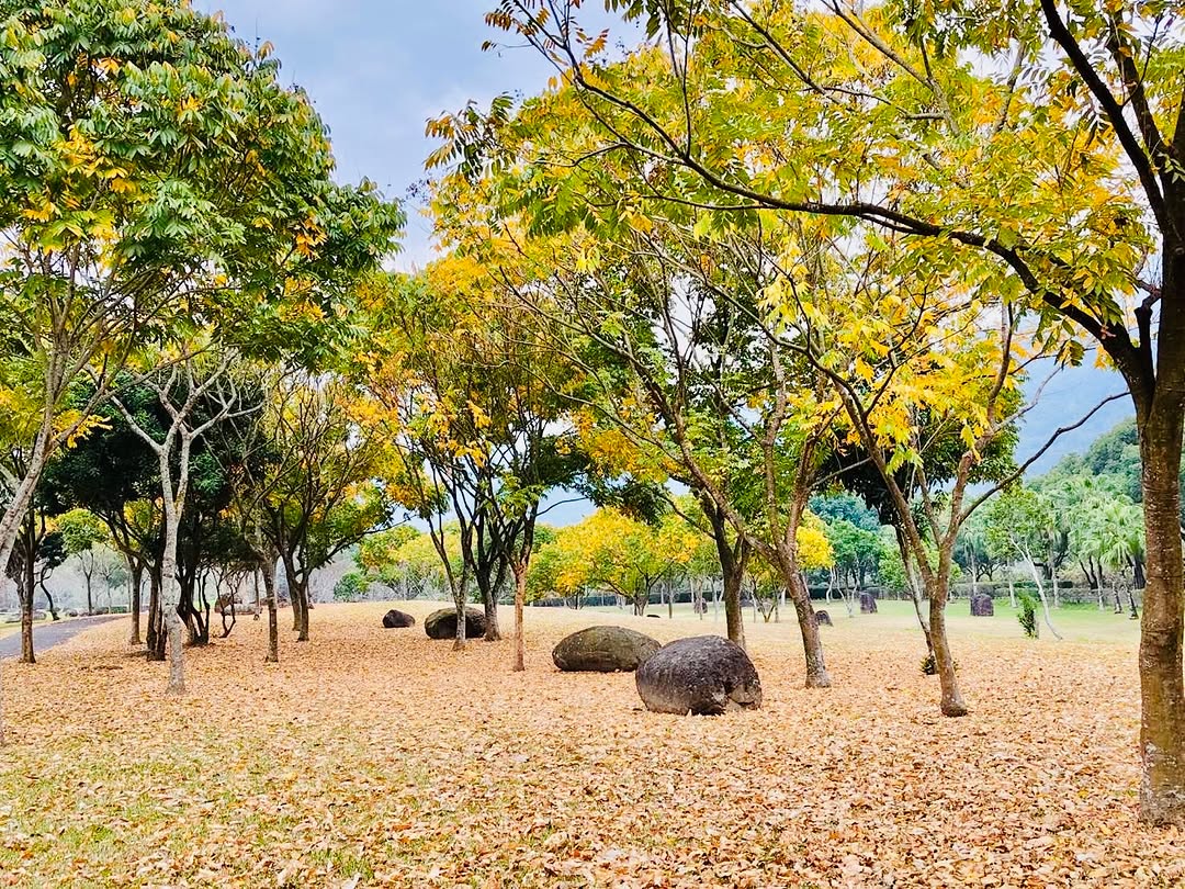 6 款原生樹苗 #免費領！植樹節活動 3/7㊅ 在觸口不只送苗木，更要學習如何守護綠意。讓我們把森林帶回家，一起種下希望！​❶ ...