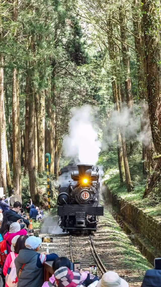 收藏這段森林鐵道記憶經典 SL-31 蒸汽火車 ✕ 檜木車廂櫻花季限定風景，明年見！祝大家周末愉快！話說有下禮拜要追媽祖的山粉嗎？...