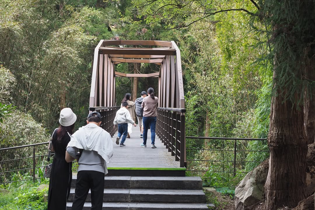 奮起湖隱藏版新動線，你解鎖了嗎？森林－ 跨橋－ 雲霧亭－ 從肖楠母樹林順著步道往下走，穿過全新的 #肖楠母樹林跨橋 （很好拍！）就...