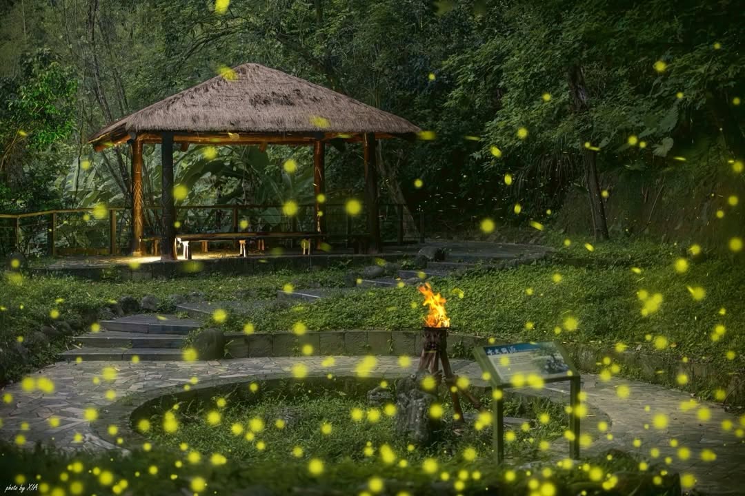 這畫面是不是太夢幻啦～～～​對我們來說，每到這個季節，山裡每個角落都是夢幻——但對大家來說，這是不是秘境中的秘境呢？​這裡是 茶山...