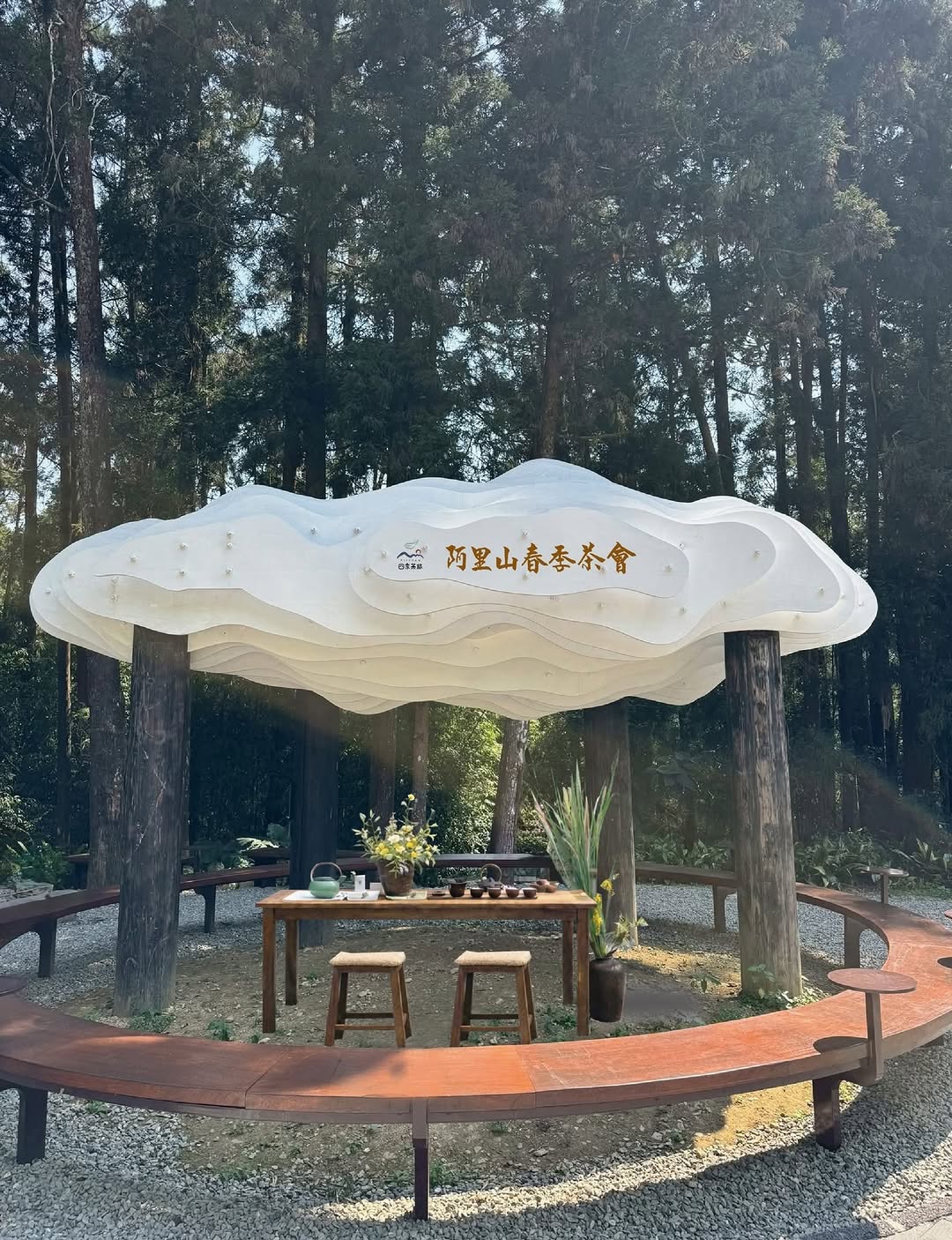 「茶潤微光・肖楠翠影」春季茶會雨來了，茶醒了！晨光灑落，茶香初綻——映照出如嫩芽般初初萌發的小小茶師～今年春天，邀您走進這片「萌芽...