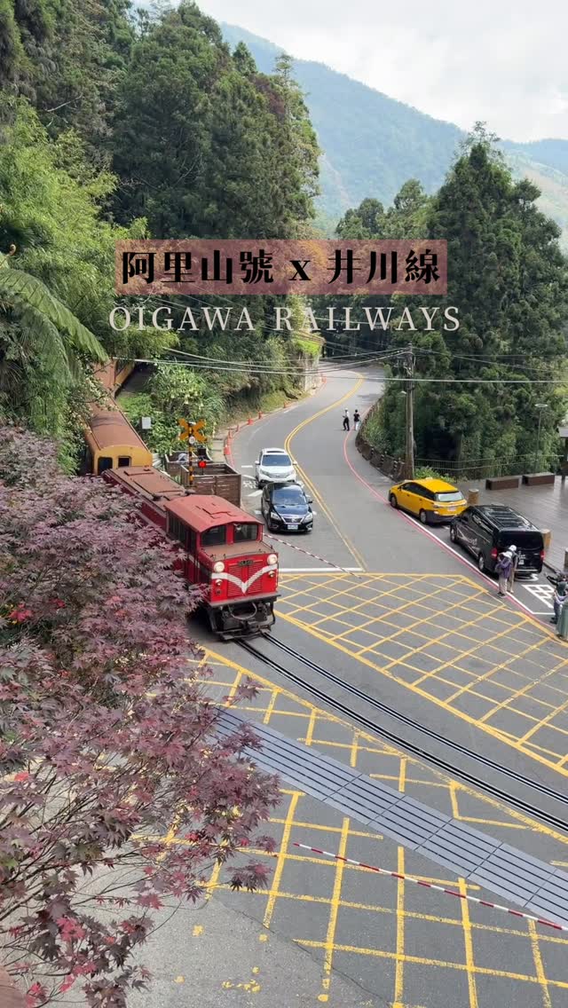 奮起湖巧遇日本井川線列車還有經典款黃紅車廂、俏皮款栩悅號看到立刻捕捉身影～奔馳在阿里山林間的列車get✅你收藏幾種了呢？