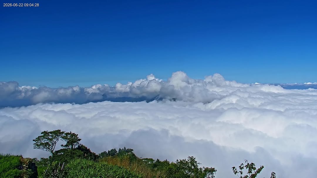 禮拜一，看點療癒的雲海山景。-#山景 #雲海 #阿里山 #隙頂 #seaofclouds