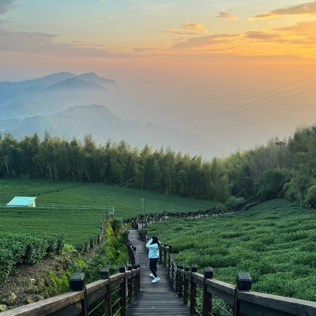 同一條步道，三種魔法——石棹霞之道清晨｜晨曦灑落在霧裡的茶園，空氣混和著泥土與茶樹香傍晚｜不用爬山，散步等待日落，雲層被染成橘紅，...