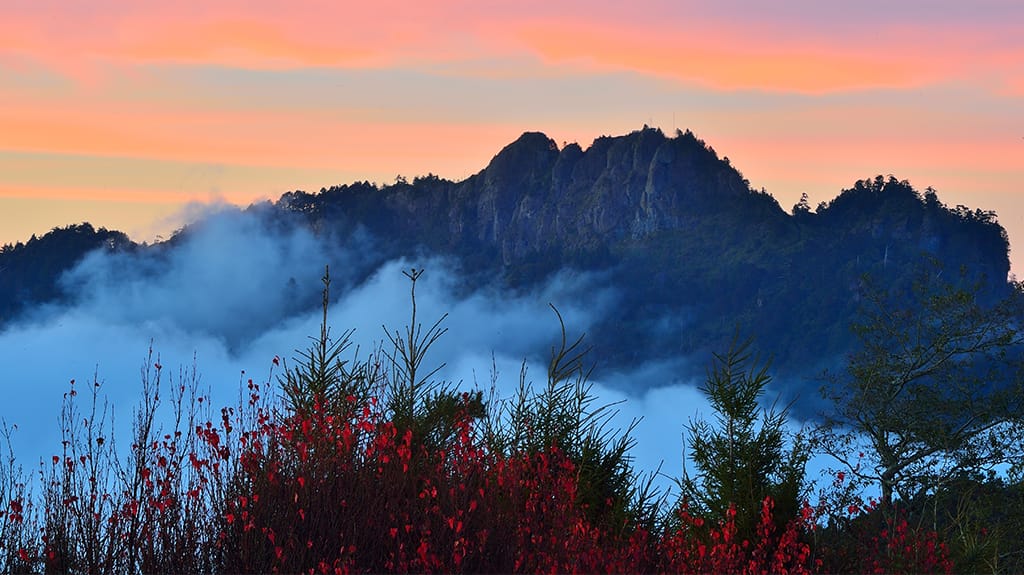 塔山(阿管處提供)