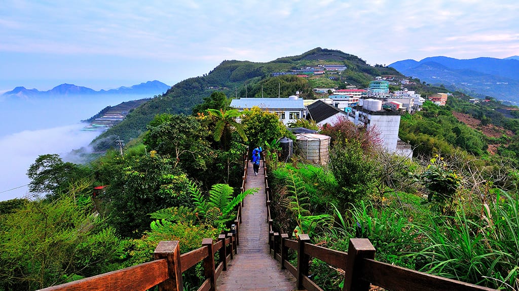 張瑞宗(網站圖片)-阿里山-巃頂步道