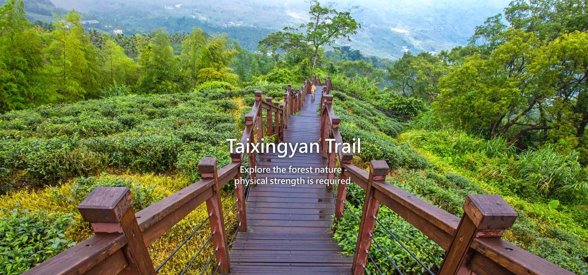 Taixingyan Trail(Open new window)