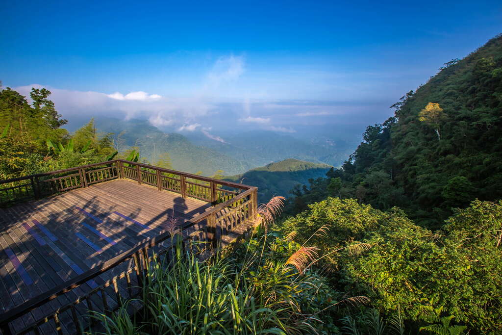 二延平步道 整修中 阿里山國家風景區