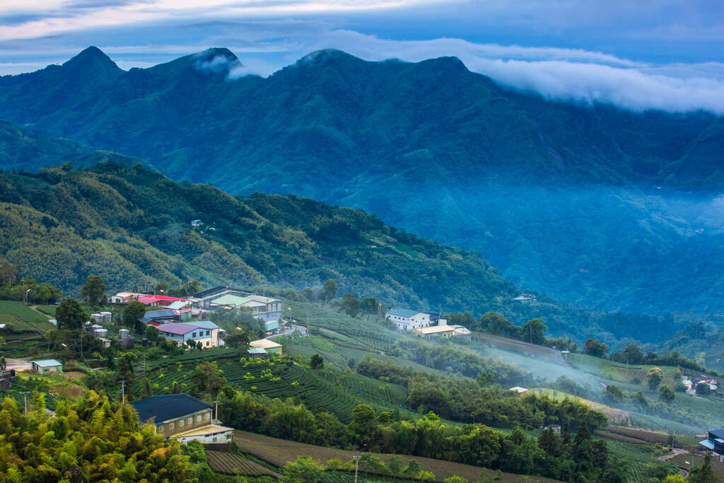 1314觀景台 阿里山國家風景區