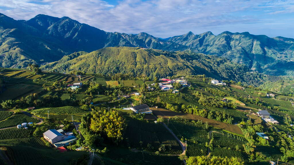1314觀景台 阿里山國家風景區