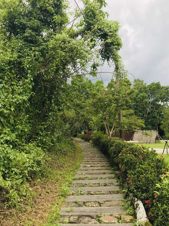 香樟林步道