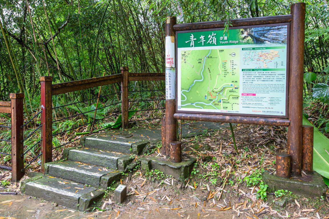 青年嶺步道 阿里山國家風景區