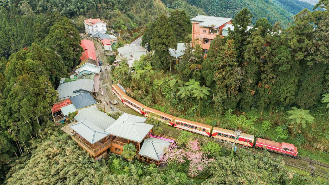 十字路鐵道 阿里山國家風景區