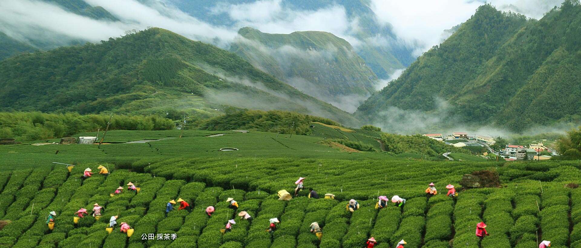 阿里山國家風景區
