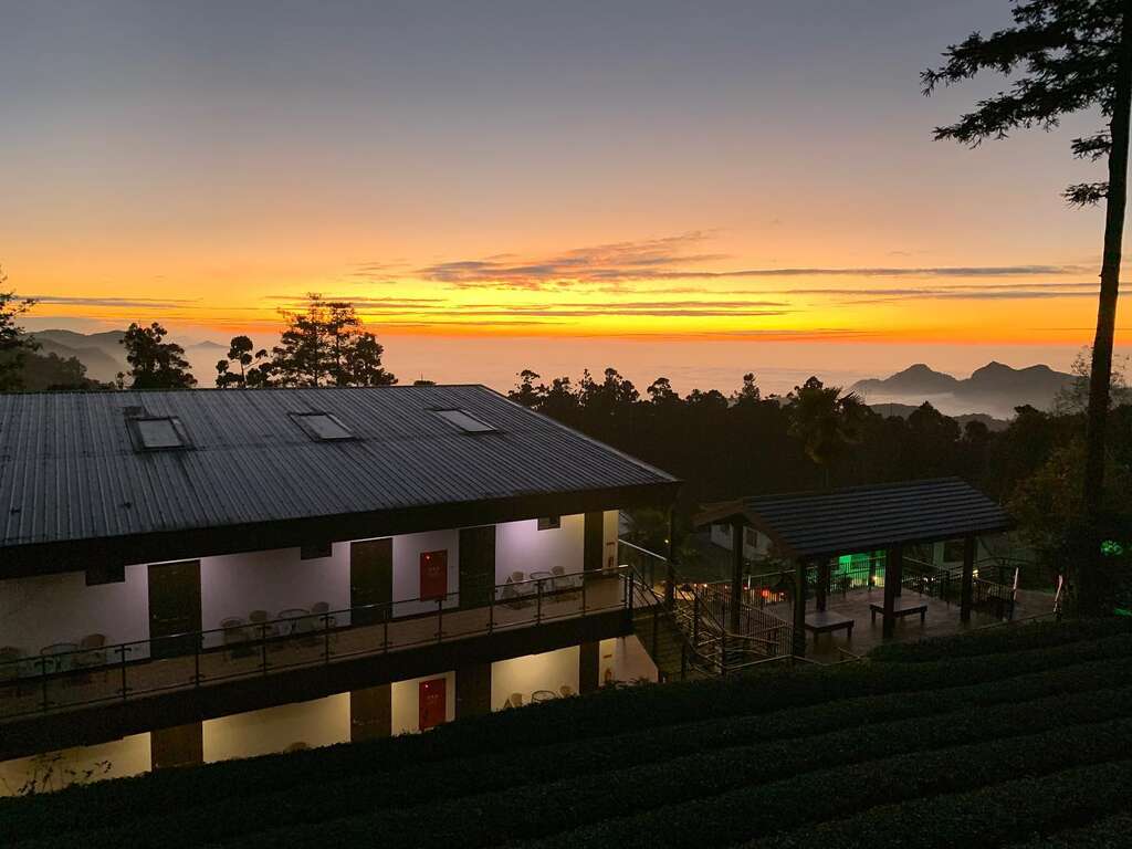 龍雲休閒農場 阿里山國家風景區