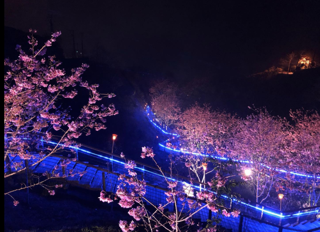 龍雲休閒農場 阿里山國家風景區