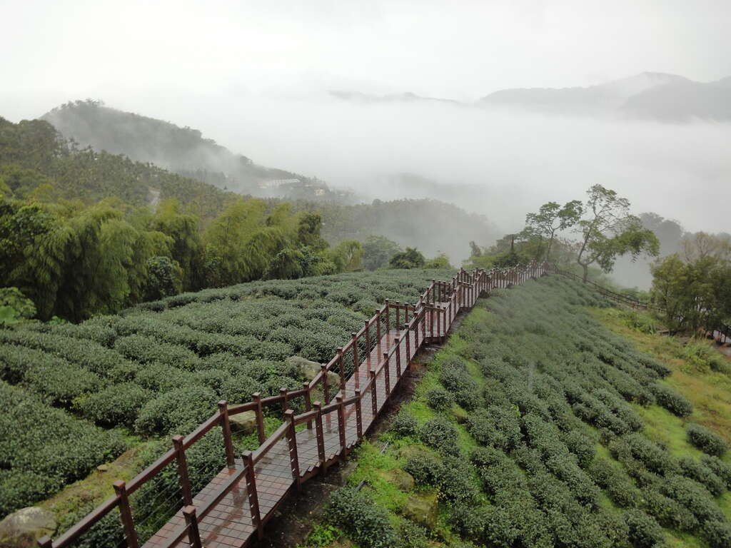 茶香木棧步道