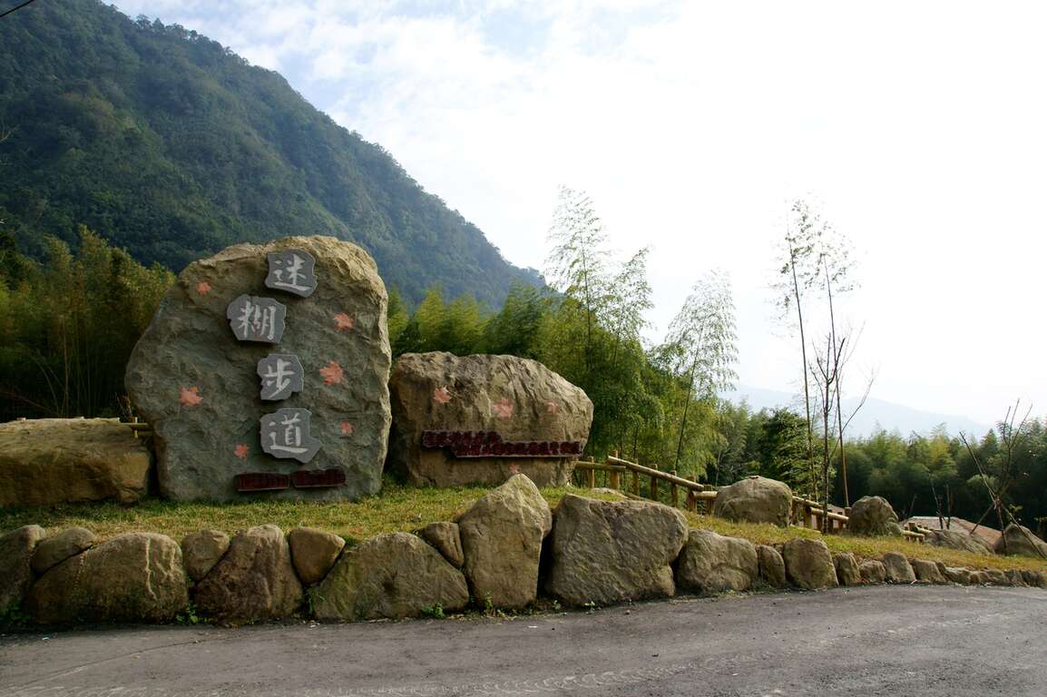 迷糊步道 米洋溪步道 阿里山國家風景區