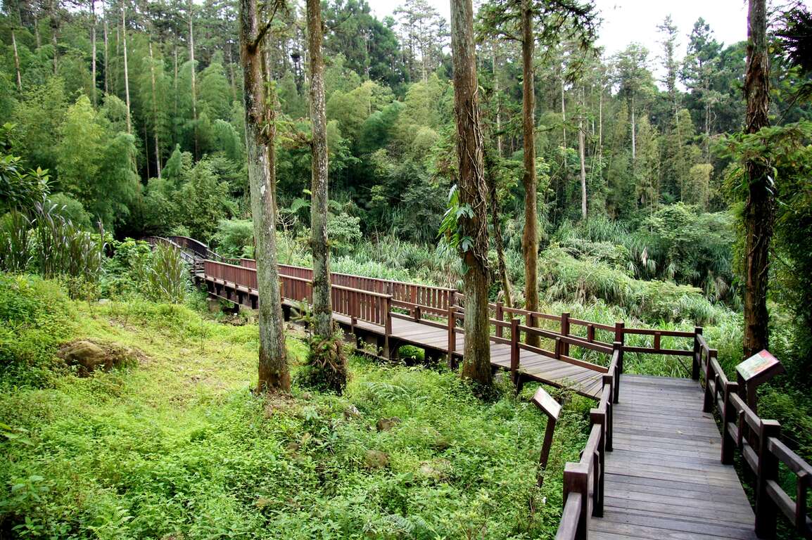 奮起湖步道 阿里山國家風景區