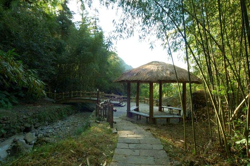 迷糊步道 米洋溪步道 阿里山國家風景區