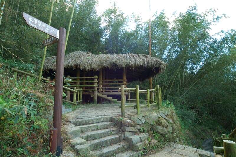 迷糊步道 米洋溪步道 阿里山國家風景區