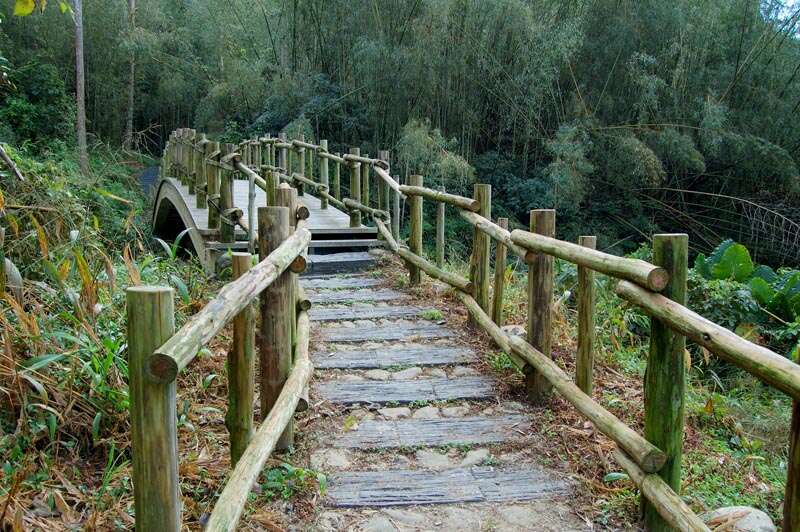 迷糊步道 米洋溪步道 阿里山國家風景區
