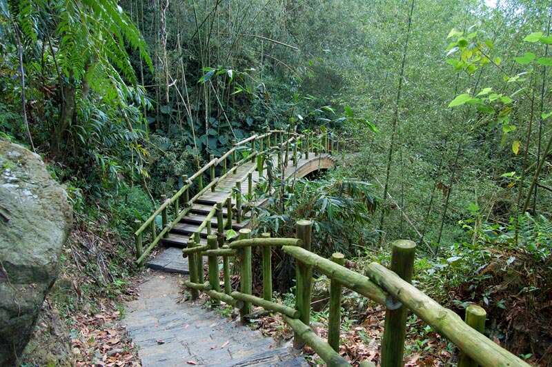 迷糊步道 米洋溪步道 阿里山國家風景區