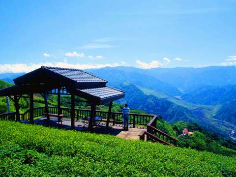 碧湖觀景台 阿里山國家風景區
