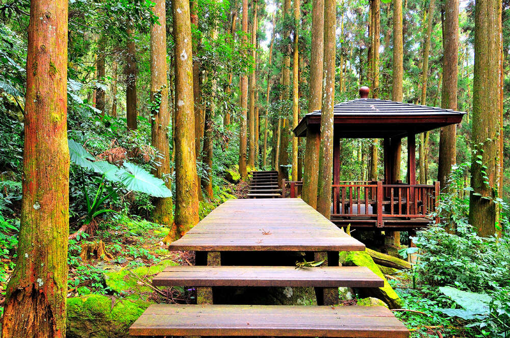 奮起湖步道 阿里山國家風景區